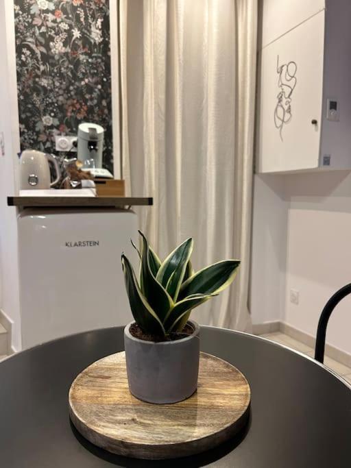 L'Etreinte, Gite De Charme Avec Jacuzzi Interieur Et Sauna Guéméné-sur-Scorff Dış mekan fotoğraf